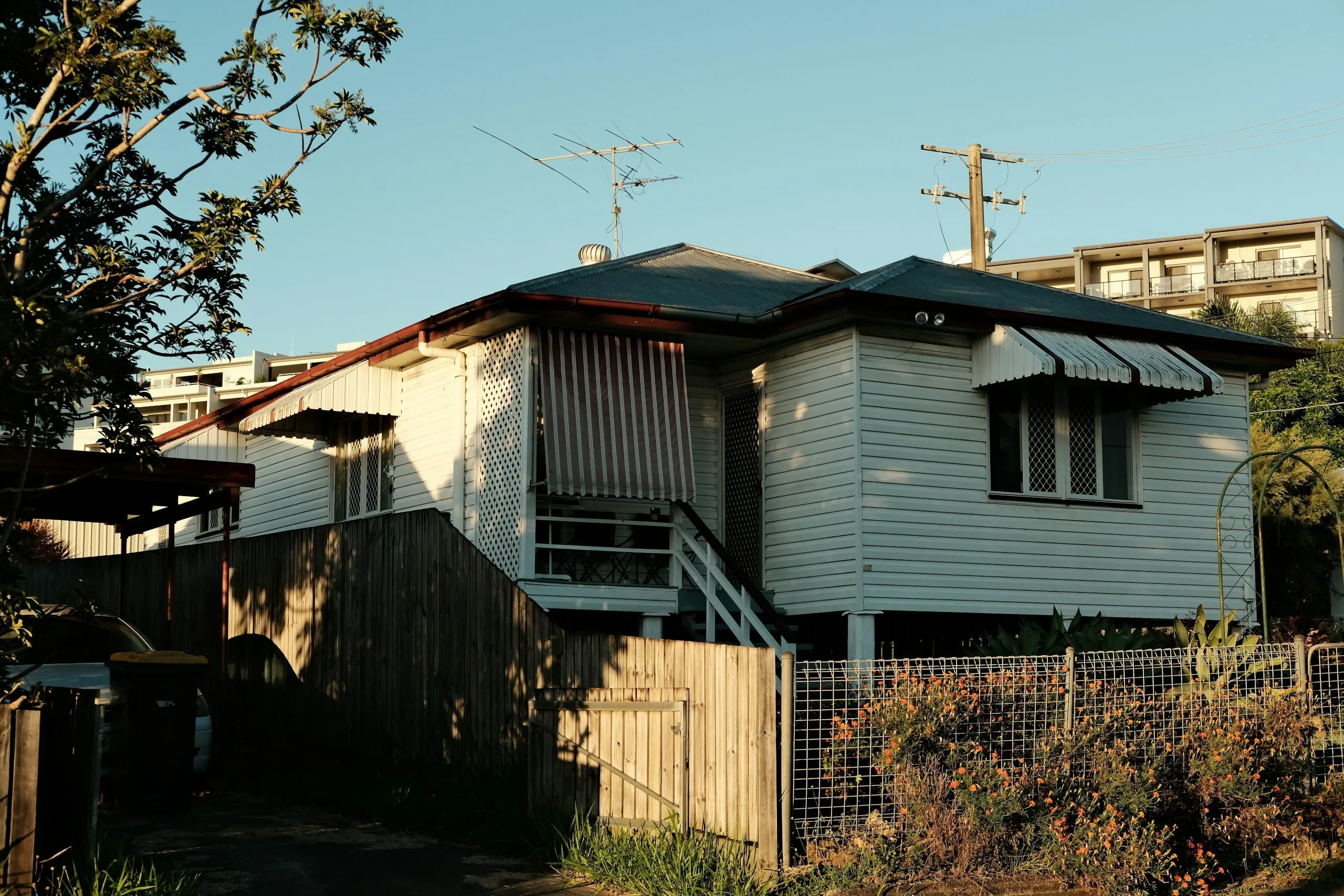 Raised Queensland weatherboard house in afternoon sun